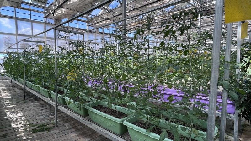 西藏拉薩蔡公堂鄉智昭大棚供暖改造項目